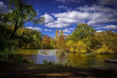 20161104AnotherLakeOfCentralPark22-Copy