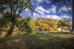 20161104AnotherLakeOfCentralPark23-Copy