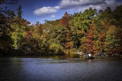 20161104AnotherLakeOfCentralPark25-Copy