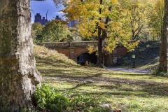 20161104CentralPark30-Copy