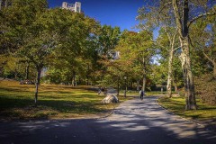 20161104CentralPark31-Copy