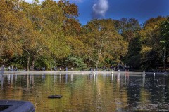 20161104CentralParkLake-Copy