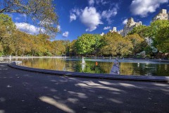 20161104CentralParkLake2-Copy