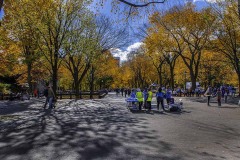 20161104CentralParkMainRoad-Copy