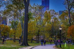 20161104NYCityFromInsideThePark2-Copy