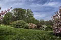 April-29-2017-Abbady-TreesAtTheBotanicalGArden10