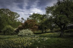 April-29-2017-Abbady-TreesAtTheBotanicalGArden11