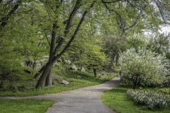 April-29-2017-Abbady-TreesAtTheBotanicalGArden15