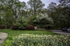 April-29-2017-Abbady-TreesAtTheBotanicalGArden21