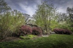 April-29-2017-Abbady-TreesAtTheBotanicalGArden30