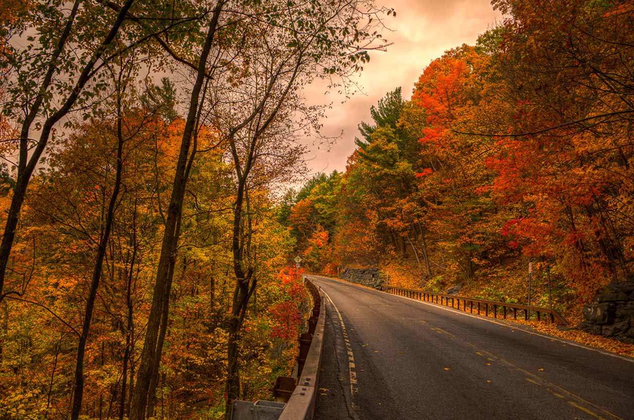 Colors of the Catskills: A Scenic Drive on New York State Route 23A in the Fall